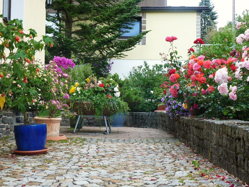Ferienhaus Riedl Klingenthal Exterior photo